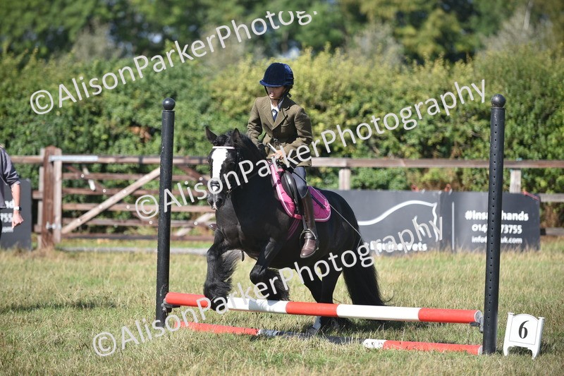 20260906-1006 - Class 7 - Absolute Novice Jumping 35cm