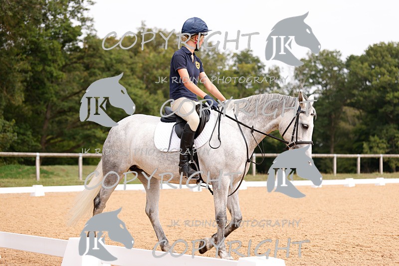 _R6A2721 - Dressage Morning