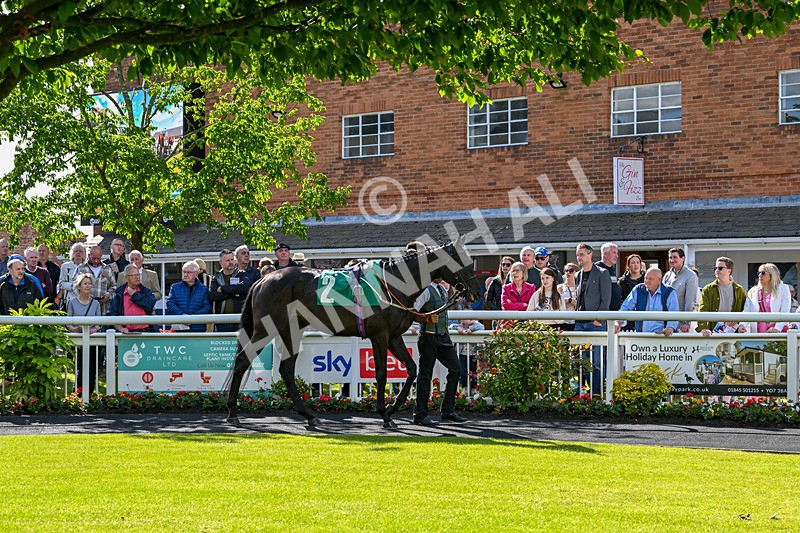 160624-Race 4-Align The Stars-8605 - Race 4