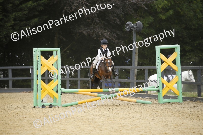 20250622-6092 - 60cm