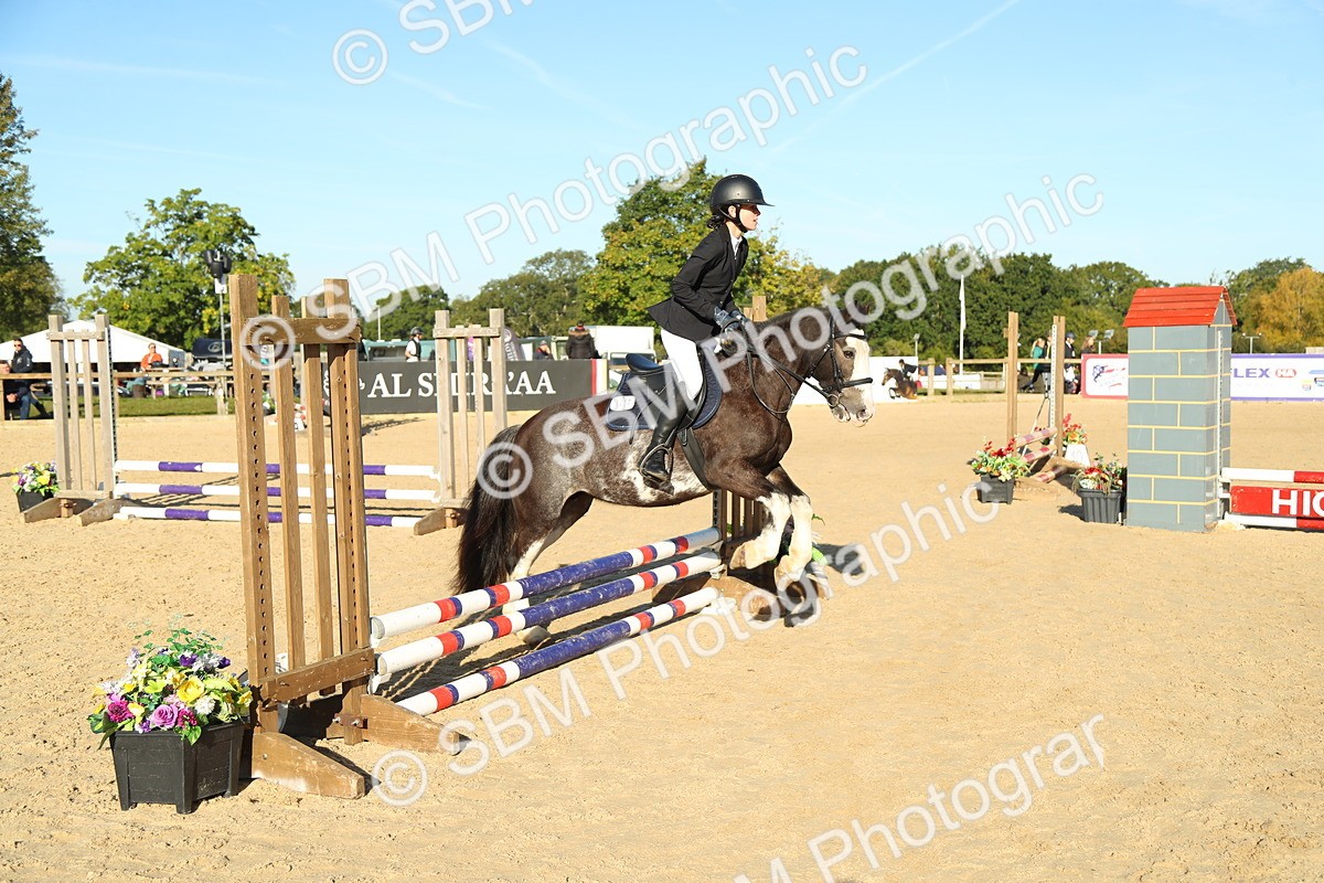 SBM_35021 - J5 - Junior Pony 50cm Championship