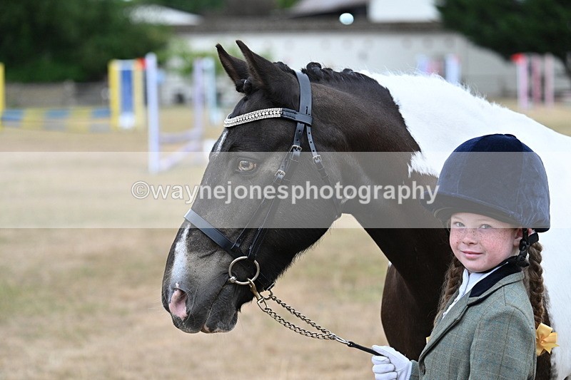 WJ7_9718 - Class 5 Most Handsome Gelding (up to 14.2hh)