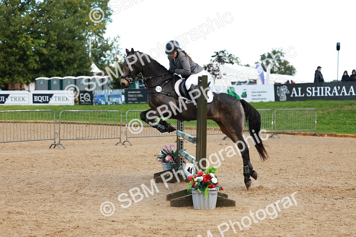 SBM_37771 - J39 - Senior Horse & Pony 85cm Championship