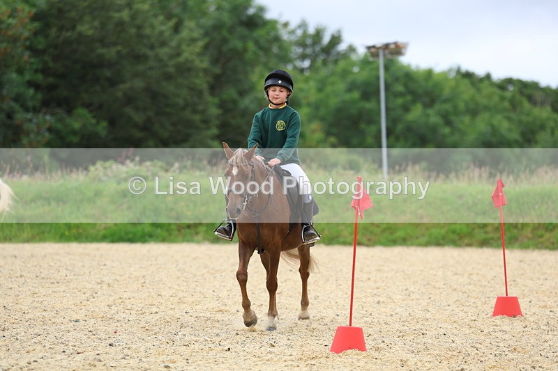 3E7A9598 - Walk trot run