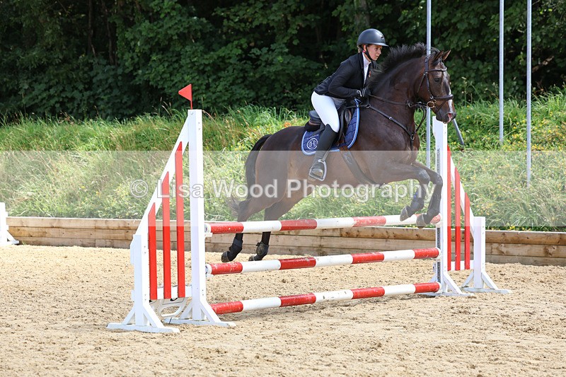 3E7A0240 - Class 9: Senior British Novice/90cm open
