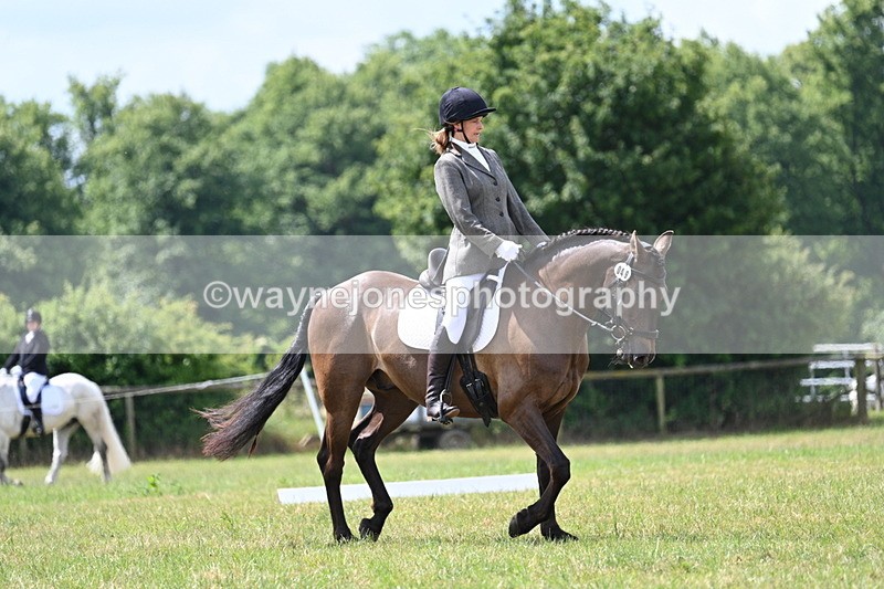 WJ7_4806 - Time 11:22 to 11:51