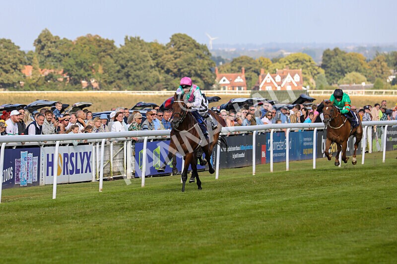 310824-Race 6-Amphius-1935 - Race 6