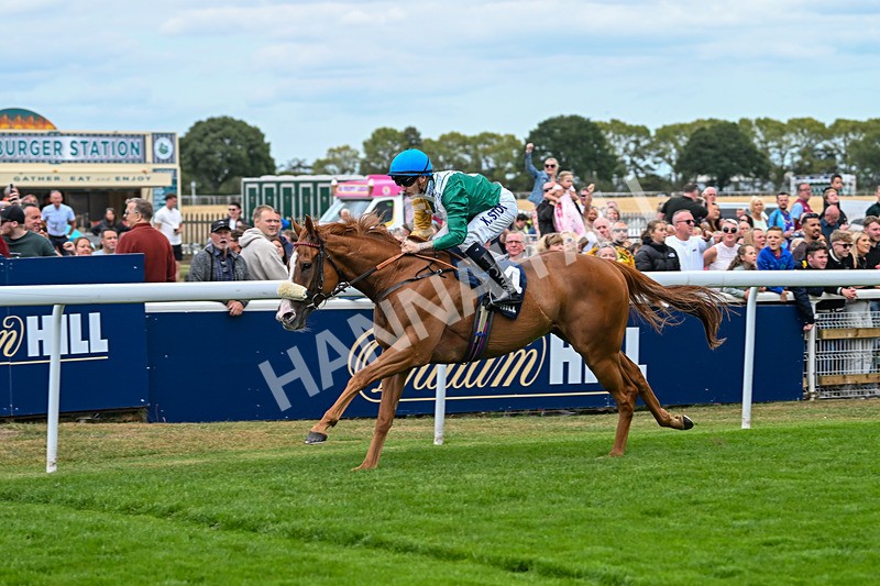 300825-Race 2-Shagraan-0694 - Race 2