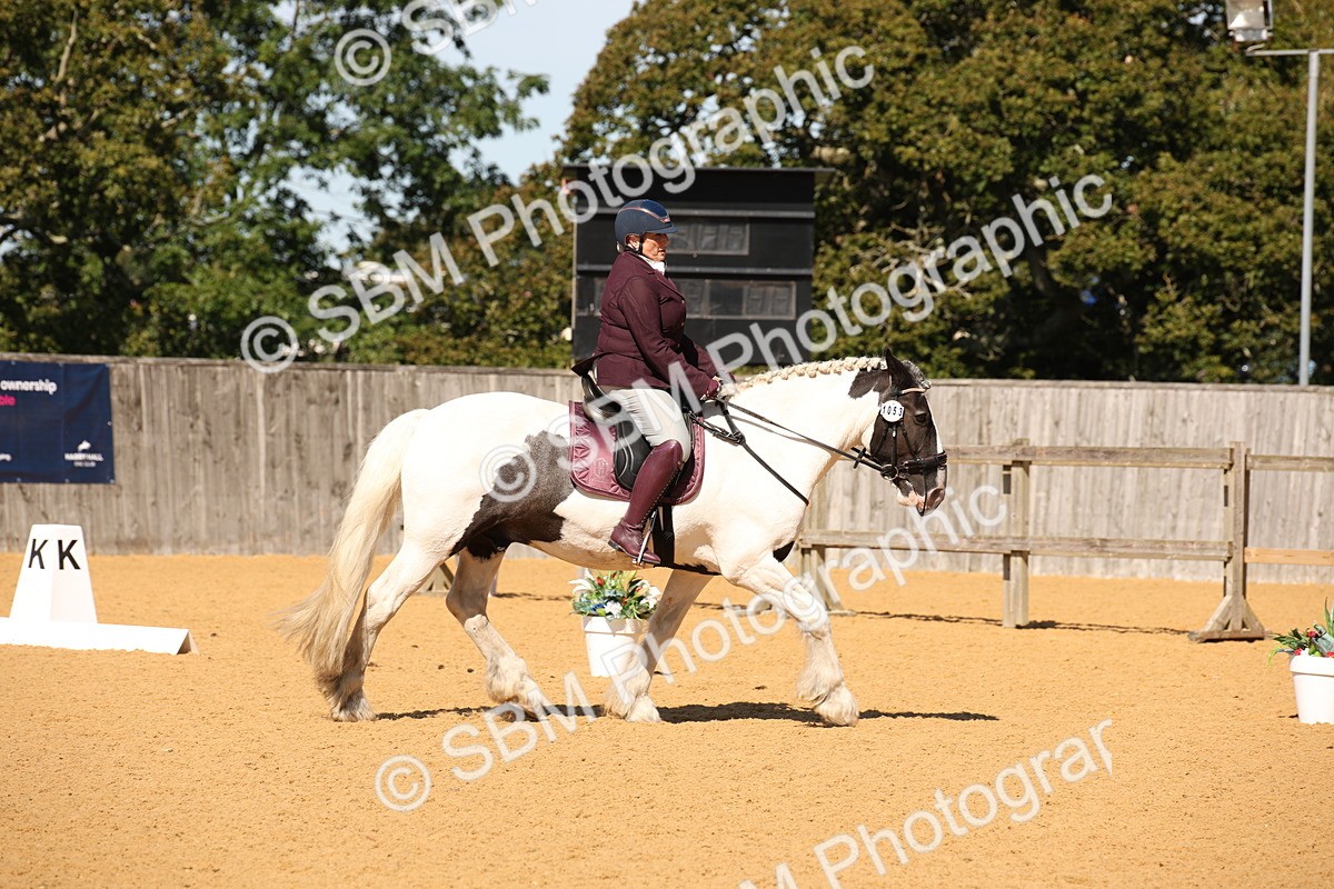 SBM_21670 - D5 - Small Tour Championship - Intro C
