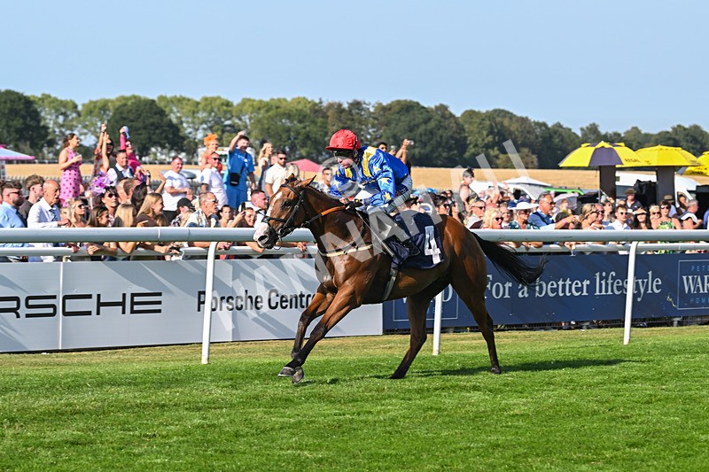 130825-Race 7-Tees Aggregates-9709 - Race 7