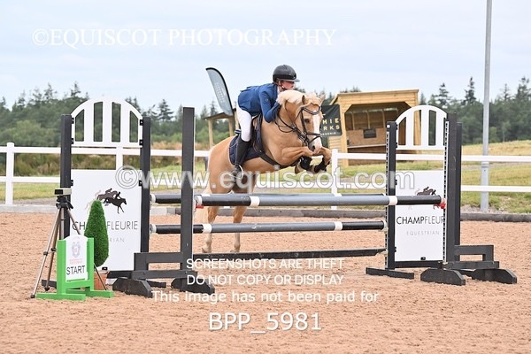 BPP_5981 - SUN CLASS 49 Horse of The Year Show 128cms Qualifier