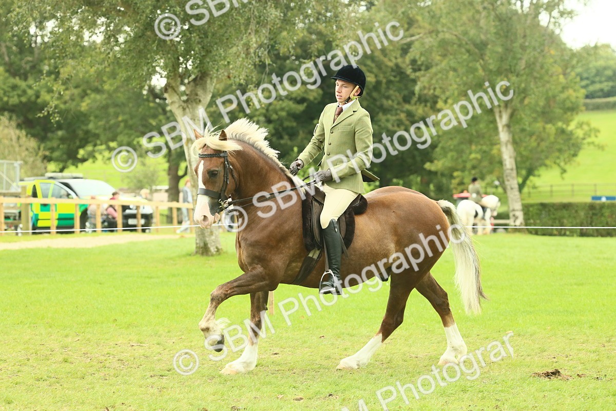 SBM_72101 - S60 - Mountain & Moorland Ridden Large Breeds