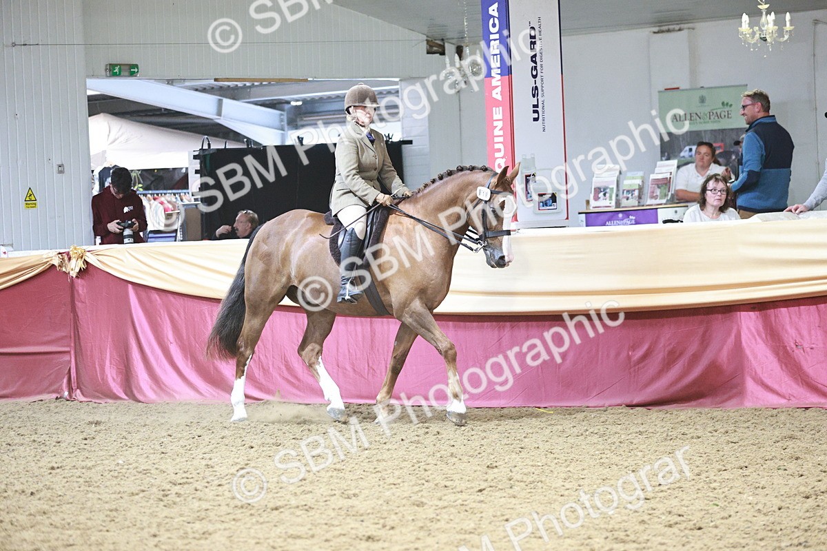 SBM_08815 - Class 12R - Regional Ridden Pre-Vet