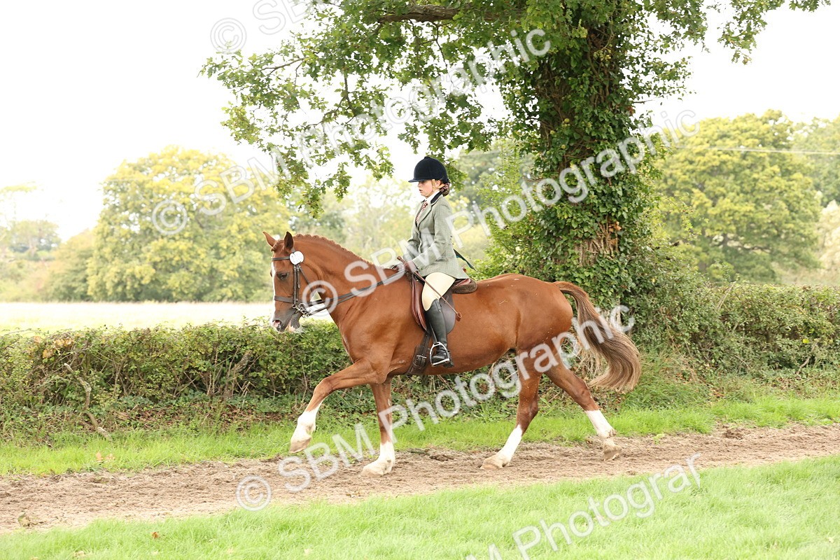 SBM_66345 - S66 - Hunter Ridden