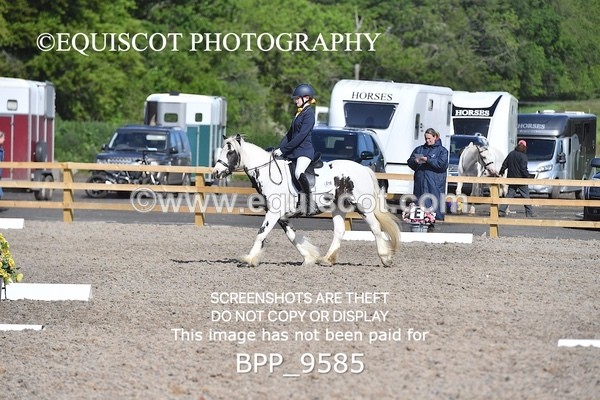 BPP_9585 - SHORT ARENA MY QUEST INTRO