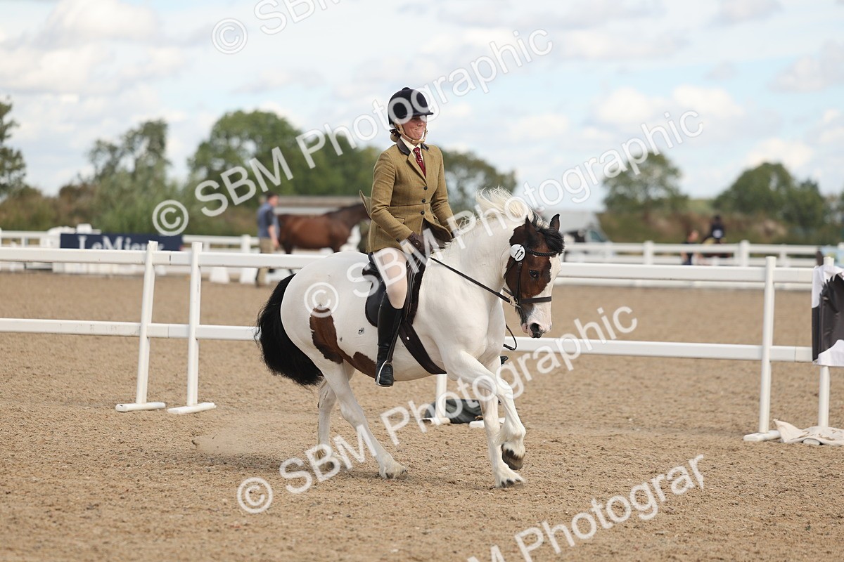 SBM_14649 - Class 307 - Ridden Coloured Pony