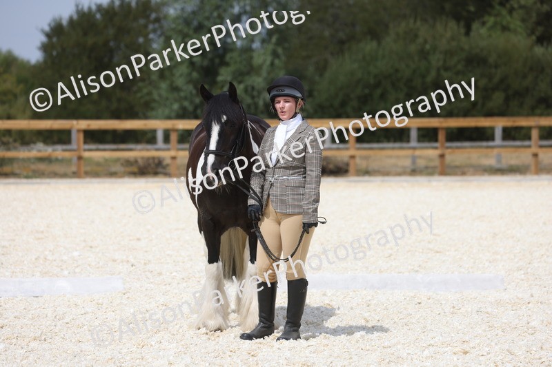 20260802-1517 - Class 16 - Best Horse or Pony