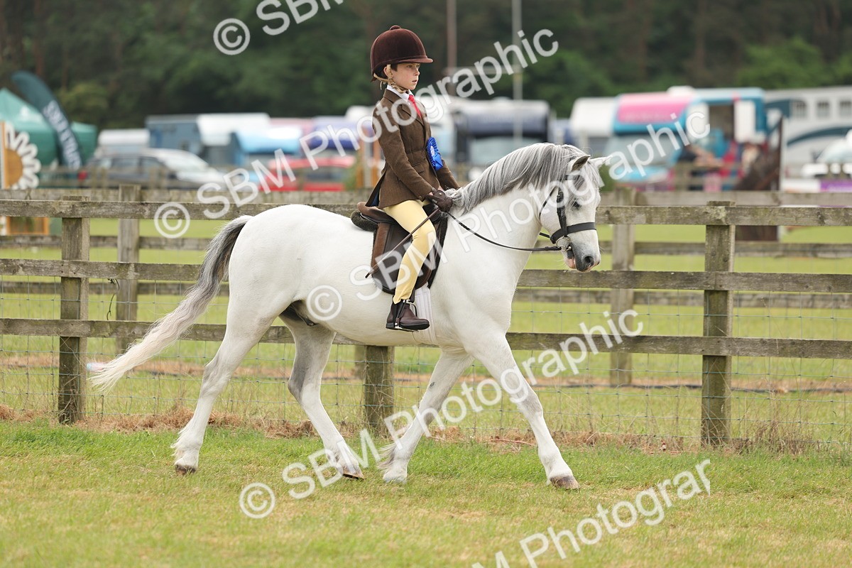 SBM_06920 - Class 74-75 - M&M Lead Rein and First Ridden Pony
