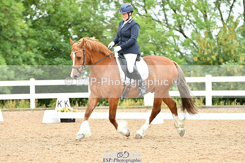 230630A-115020-01704 - Cls 7 Elementary 45