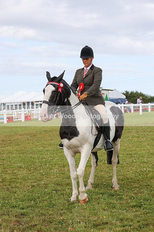 1X9A3082 - Class 26: Ridden Plaited Coloured Pony
