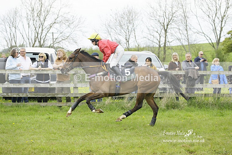 PtP 020522 300 - Mollington Races Point-to-Point 02/05/22