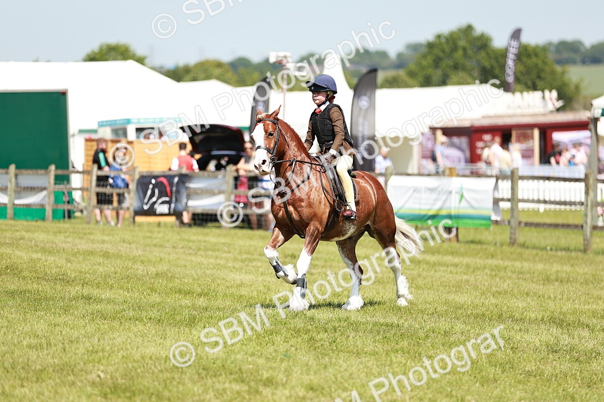 SBM_15600 - Class 108-109 - BSPS LIHS Open Gradle & Nursery Stakes