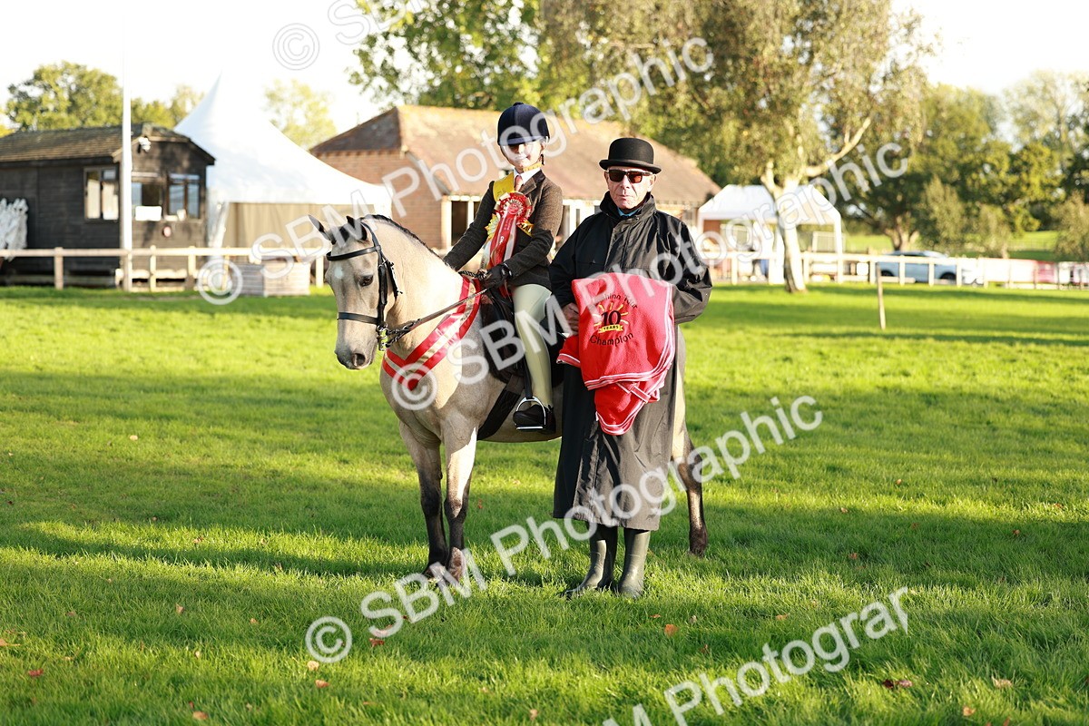 SBM_29330 - Novice & newcomer Supreme Championship