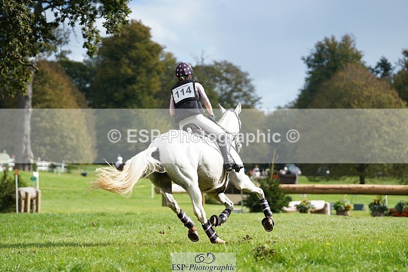 231020-140310-09453 - 114-LATINA'S.TWINKELING-Pippa.Haslam-XC