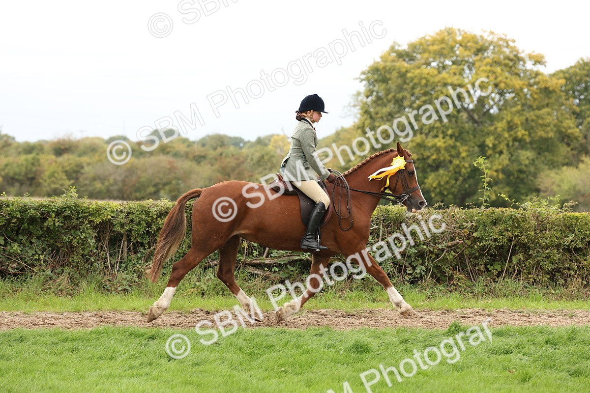 SBM_66433 - S66 - Hunter Ridden