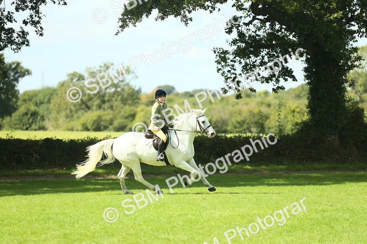 SBM_44546 - S30 - M&M Working hunter Pony