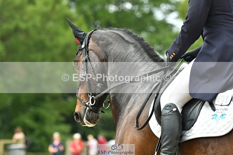 230525-124257-04254 - 209-MONBEG_EBONY-Molly_Fletcher-WEDTrotUp+DR