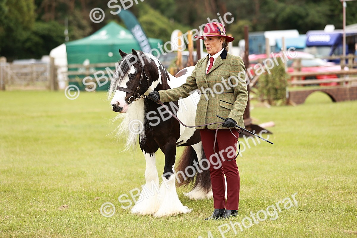 SBM_06041 - Class 39-41 TGCA In Hand and Ridden