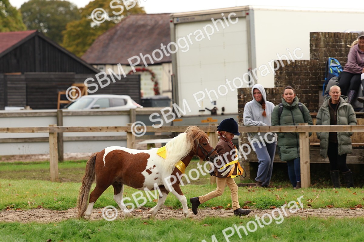 SBM_59774 - Start Supreme Championship