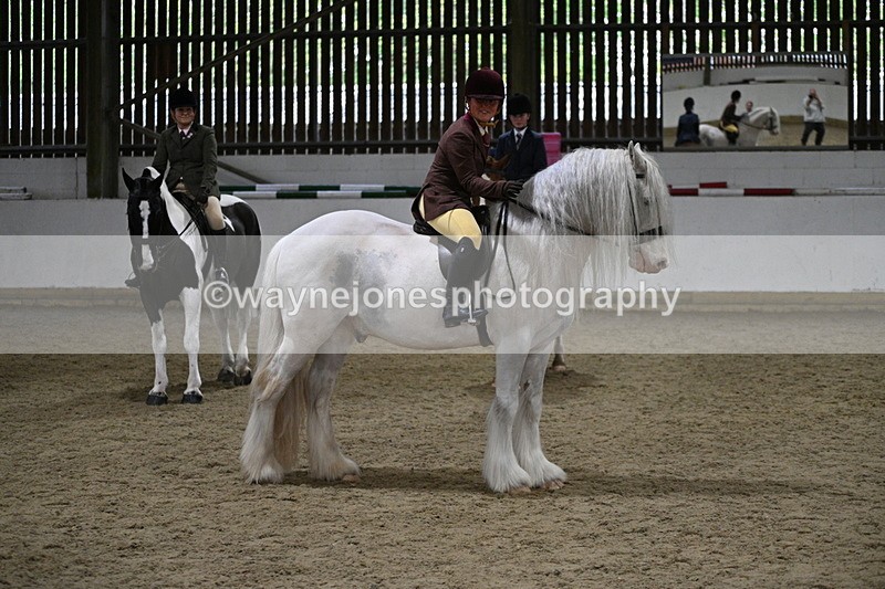 WJ7_4257 - Class 17 Ridden Cob