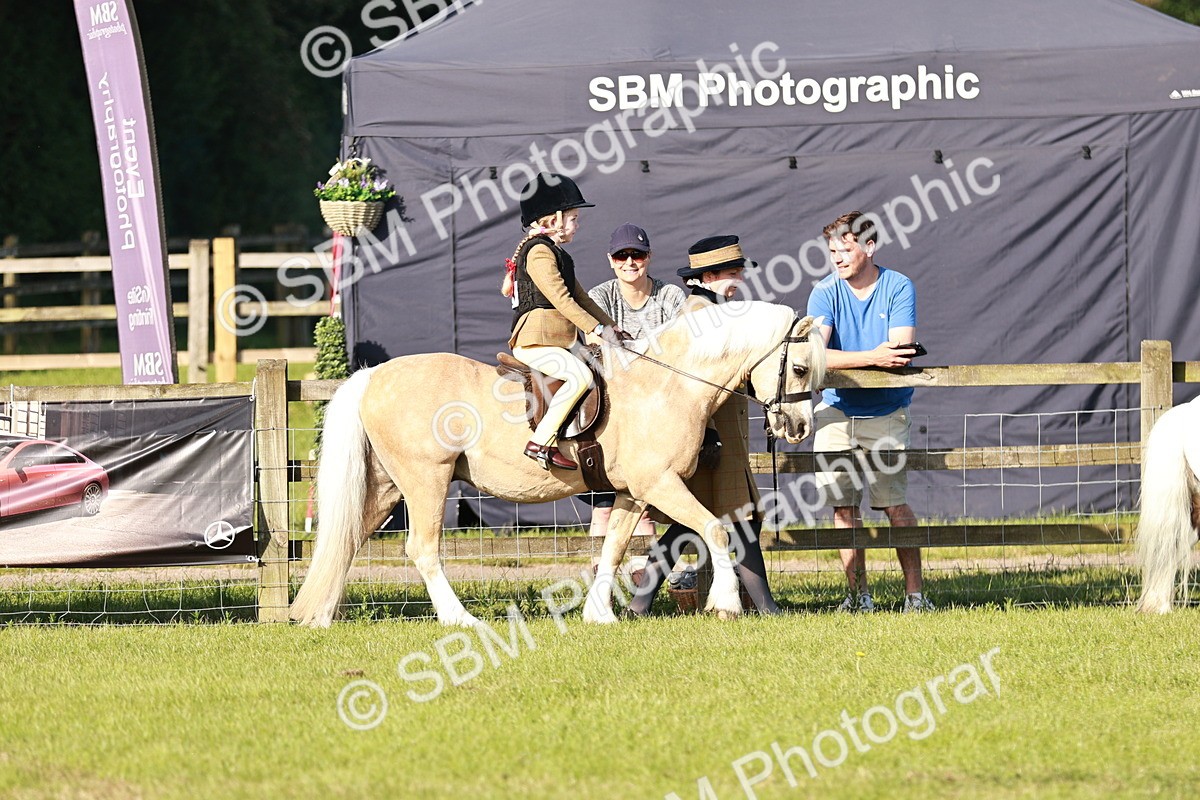 SBM_11009 - Class 106-107 - BSPS LIHS Working Sports Pony