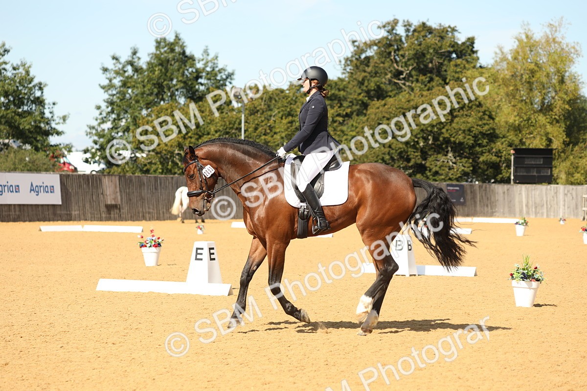 SBM_22292 - D17 - Grand Tour Championship - Novice 27