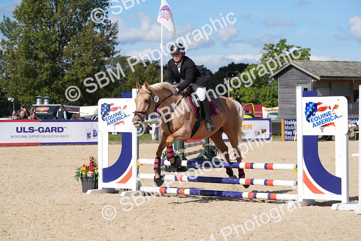 SBM_38808 - J21 - Junior Horse 60cm Championship