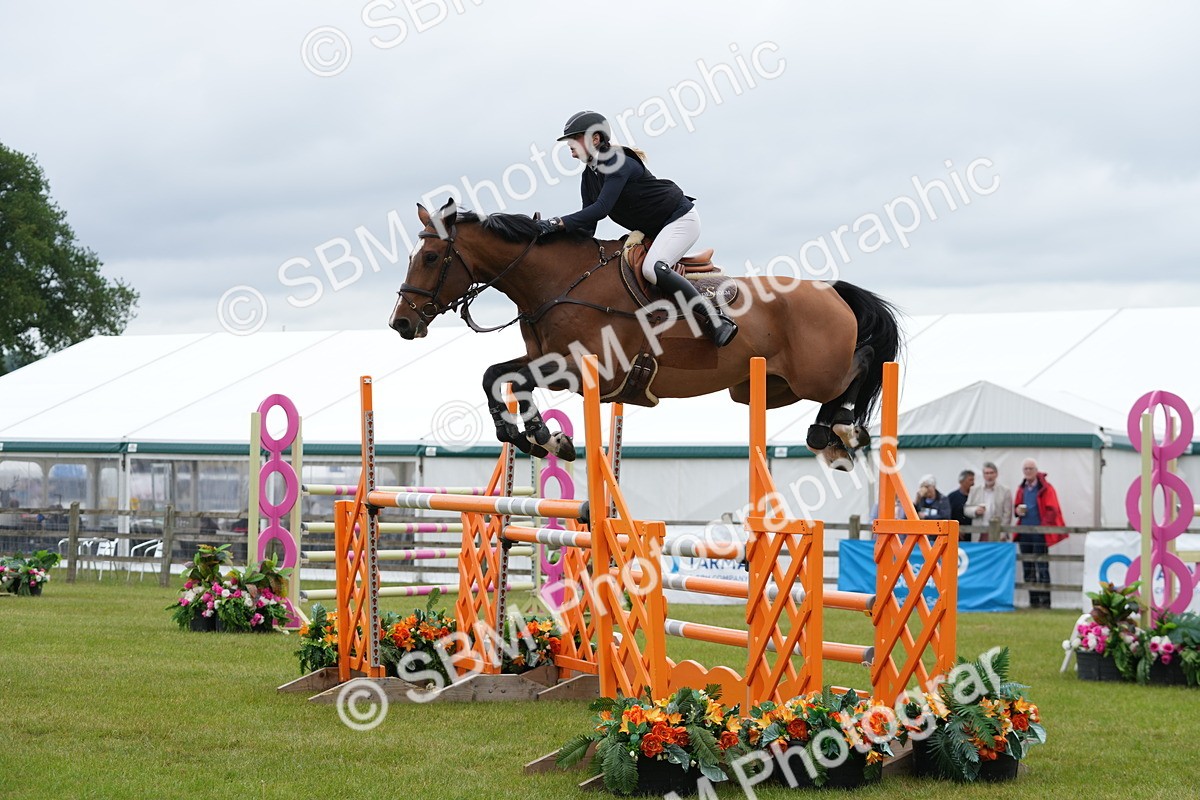 SBM_03003 - Class 201 - British Horse Feeds Speedi Beet Horse of the Year Show Grade  C