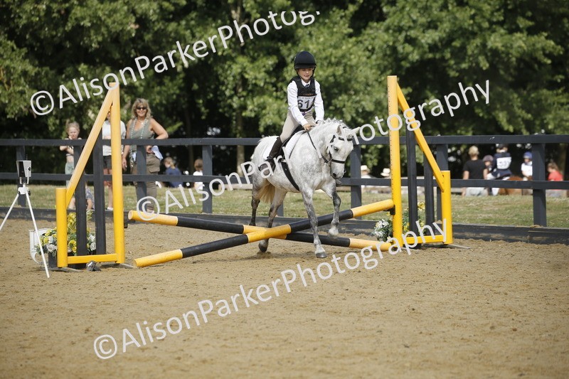 20250622-3766 - 50cm