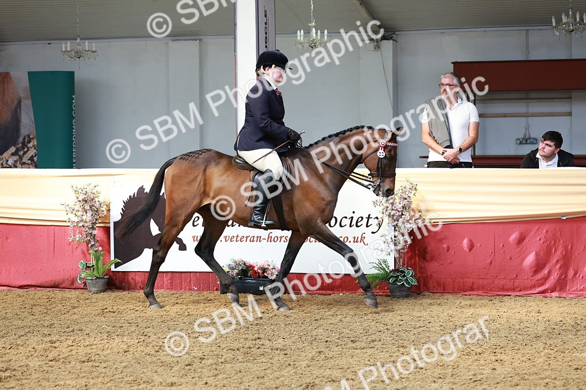 SBM_14887 - Class 108 - Ridden Retired Racehorse