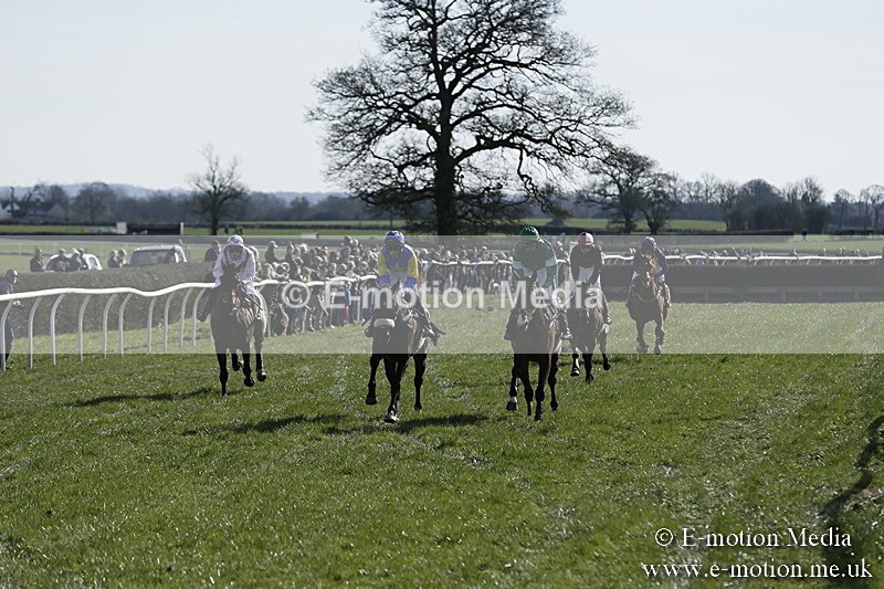 PtP 250317 209 - V.W.H. Hunt Point-to-Point Siddington 25/03/17