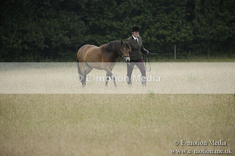 B230619-0010 - Bourne Valley Riding Club Summer Show 23/06/19