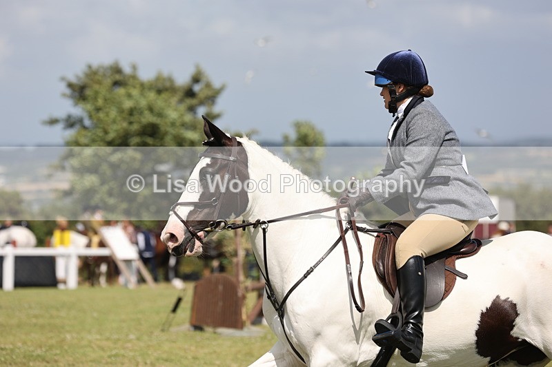 JPP_2194 - Class 19: Working Hunter 60cm