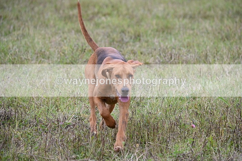 WJ6_0883 - Camera 2 Line 2