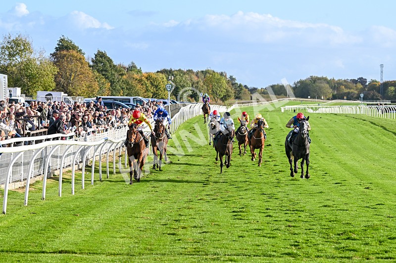 191024-Race 5-Vince Le Prince-4457 - Race 5