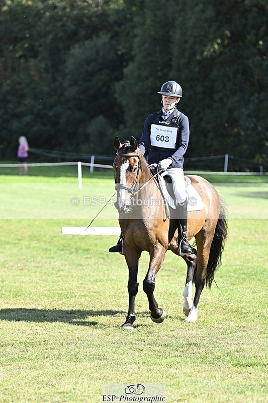 250822A-102915-20262 - DR 10.00 to 11.00