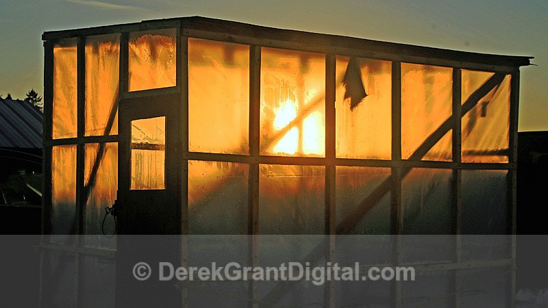 Ice Shacks of Canada