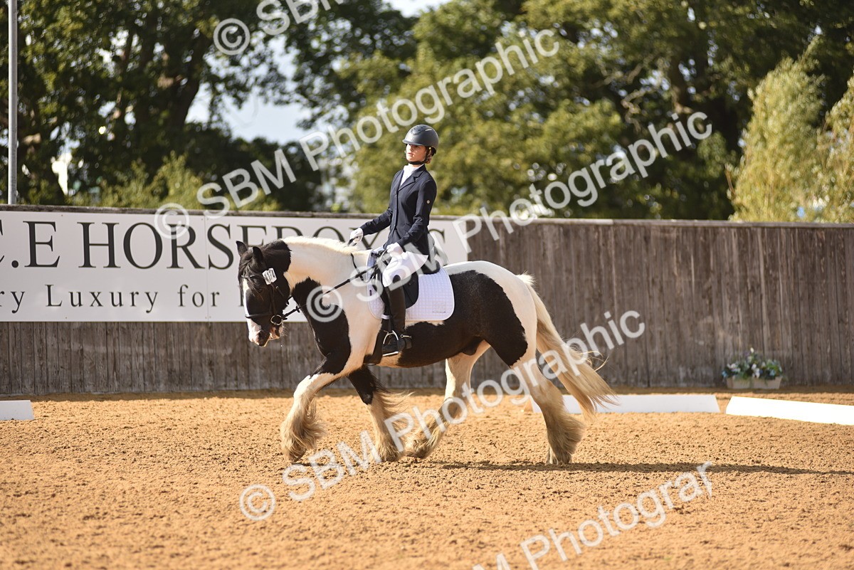 SBM_48849 - D22 - Junior Championship Intro 3