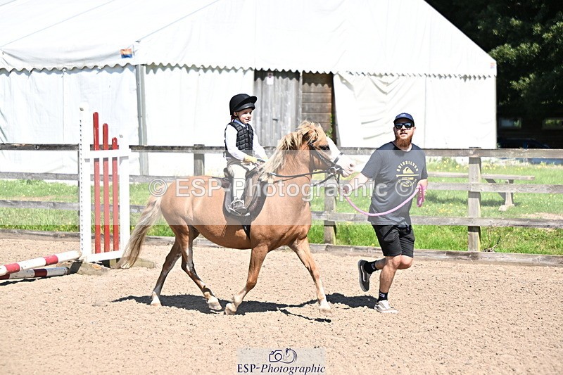 240729B-111814-02304 - Showjumping Competition
