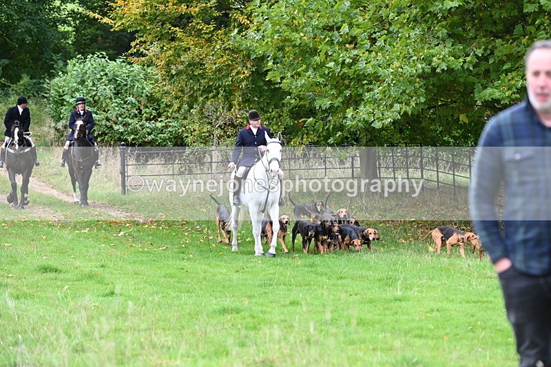 WJ6_0056 - Camera 2 Meet